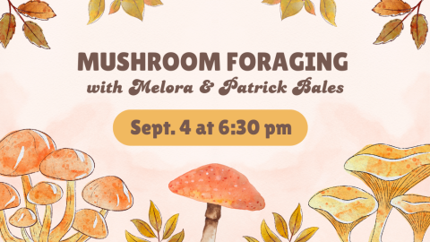 Mushroom Foraging with Melora and Patrick Bales. September 4th at 6:30 p.m.