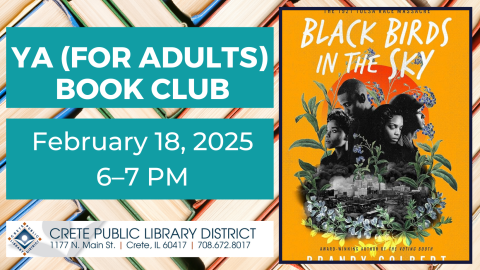 YA (for Adults) Book Club. February 18, 2025. 6-7pm. Black Birds in the Sky: The Story and Legacy of the 1921 Tulsa Race Massacre by Brandy Colbert.