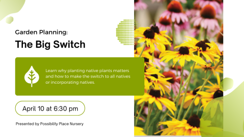 Garden Planning: The Big Switch. Learn why planting native plants matters and how to make the switch to all natives or incorporating natives. April 10 at 6:30 PM. Presented by Possibility Place Nursery.