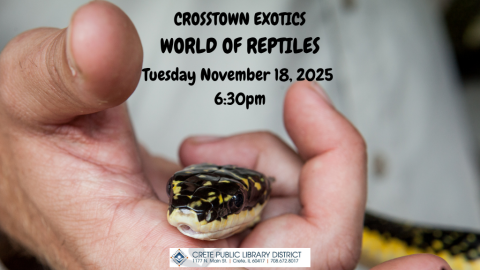 Explore the prehistoric world of reptiles, bugs, and amphibians and how they have been able to survive since the age of the dinosaurs as well as why they are important to the world we live in today. 
