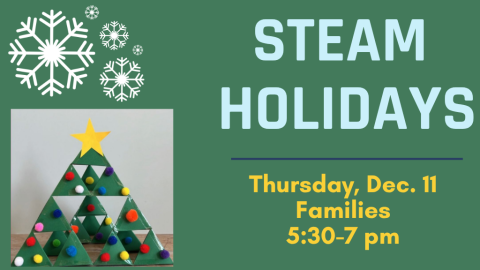 STEAM Holidays (Families)
