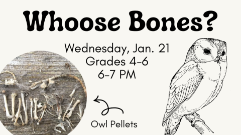 Whoose Bones? (4th-6th Grade)